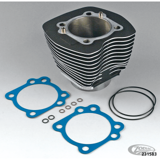 Gasket set .036"  Cilinder TC95 99