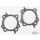 3.875 1550 HG KIT TCS/S HEAD GSKT; .030