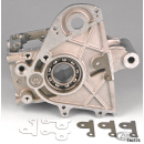 10pck Transmission to chaincover gasket