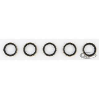 5PCK BT91-06 MAIN DRIVE GEAR SEAL TRANS