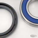 All Balls wheel bearing & seal kit Buell