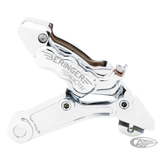 6-Piston Rear brake FXD00-05 Polished