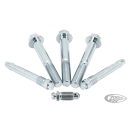GZP Chrome Brake caliper hardware kit 00