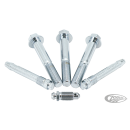 GZP Chrome Brake caliper hardware kit 00