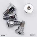 Colony chrome single disc rotor bolts