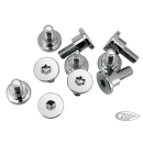 Colony chrome disc rotor bolts set/10