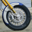 EBC 5-button narrow band float SS rotor