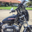 Burly Jail Bars 12" Chrome