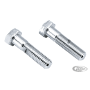 Hex Head Riser bolt 1/2-13x2" UNC