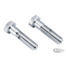 Hex Head Riser bolt 1/2-13x2" UNC