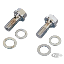 GZP Chrome banjo bolt 3/8"-24