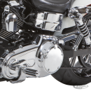 GZP Streamliner foot pegs, driver mal
