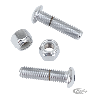 CHROME BOLT KIT PM & RSD PEGS