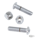 CHROME BOLT KIT PM & RSD PEGS