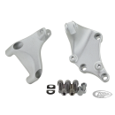 GZP Clear alu RR peg mounts XL14-UP