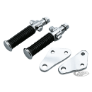 GZP Passenger pegs w/supports FX, pai