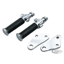 GZP Passenger pegs w/supports FX, pai