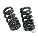 Rear Shock spring kit F*ST90-99