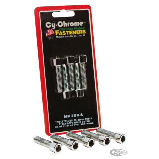 Allen head Triple tree pinch bolts FXRS