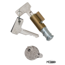 GZP Steering Lock only w/cover,spring,wa