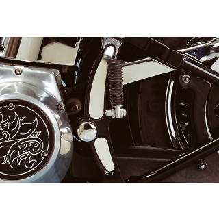 GZP Chrome frame banana inserts F*ST86-0