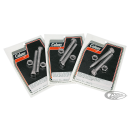 Pol Inox Pivot bolts w/washers F*ST84-17