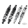 Bitubo all chrome shocks 13"