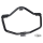 GZP Chrome engine guard/w footrest FLT97