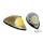 GZP Indian fender light gold