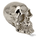 GZP Chrome fender mounted skull