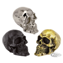 GZP Chrome fender mounted skull