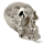 GZP Chrome fender mounted skull
