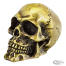 GZP Bronze fender mounted skull