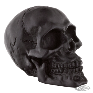 GZP Black fender mounted skull
