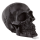 GZP Black fender mounted skull