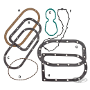 GZP Fuel pump door gasket viton