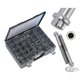 10pck 12-point bolts,1/4-20 x 1", UNC