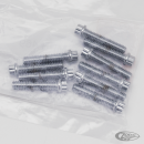 10pck 12-point bolts,1/4-20 x 1 1/4",