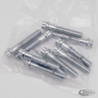 10pck 12-point bolts,3/8-16 x 2",