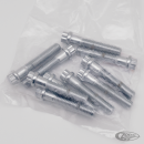 10pck 12-point bolts,3/8-16 x 2",