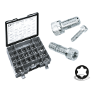 10pck Knurled torx screw 5/16-24x3/4"