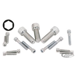 10pck Chrome Allen screw 1/4x1/2" Course