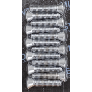 Chrome allen head set BT 36-79 Cam cover