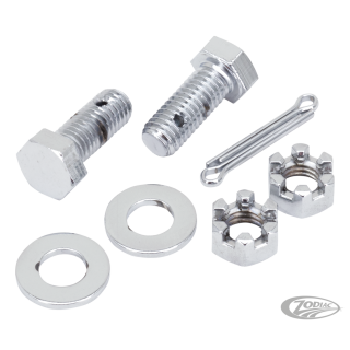 Chrome hex head bolts rear brake arm sup