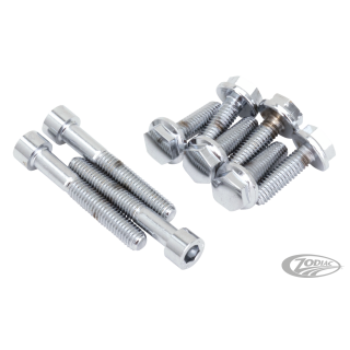Oil pump cover bolt kit VRSC02-17