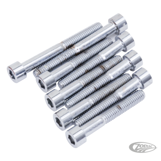 Water pump bolt kit VRSC02-17