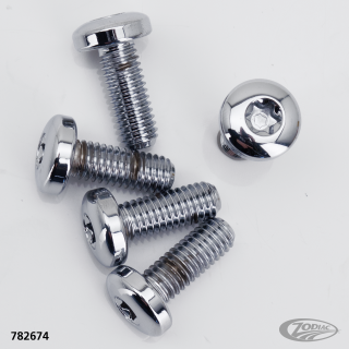 Chrome RR disc screw kit BT97-up