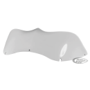 T&S FLTR Seven Sins windshield