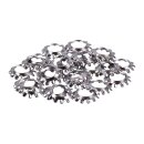 SS EXT. COUNTERSUNK LOCKWASHER,#6-25PACK
