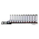 1/2" Socketset 12-point long 12Pc on rai